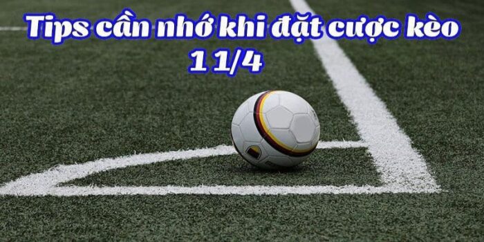 Những mẹo đặt cược loại kèo này