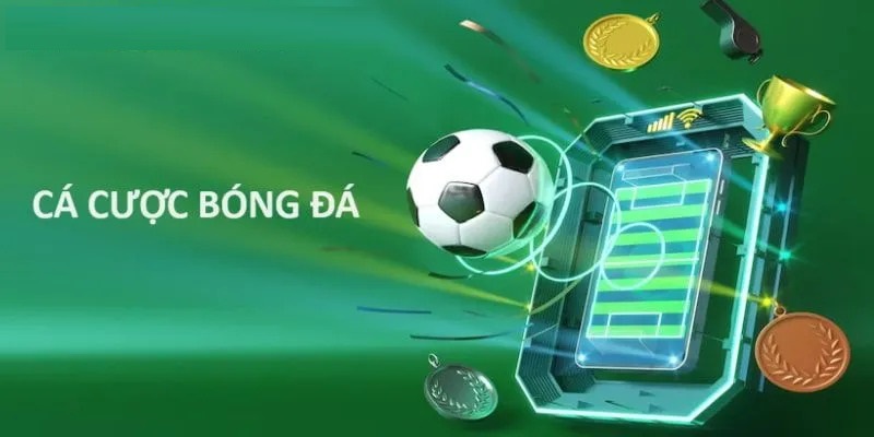 cá độ bóng đá